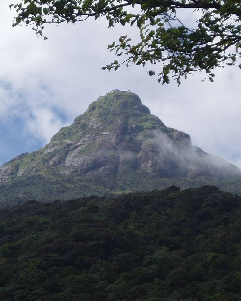 Pointed summit of Adam’s Peak (Sri Pada) rising above forested slopes, Sri Lanka