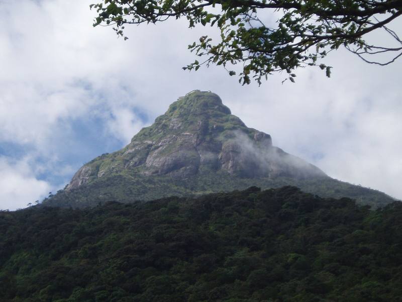 Pointed summit of Adam’s Peak (Sri Pada) rising above forested slopes, Sri Lanka