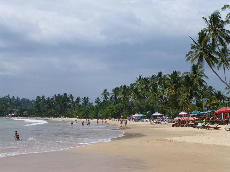 Palm-fringed curve of Mirissa beach with colourful umbrellas on the sand, Sri Lanka