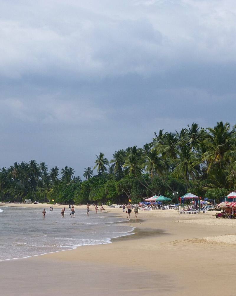 Palm-fringed curve of Mirissa beach with colourful umbrellas on the sand, Sri Lanka