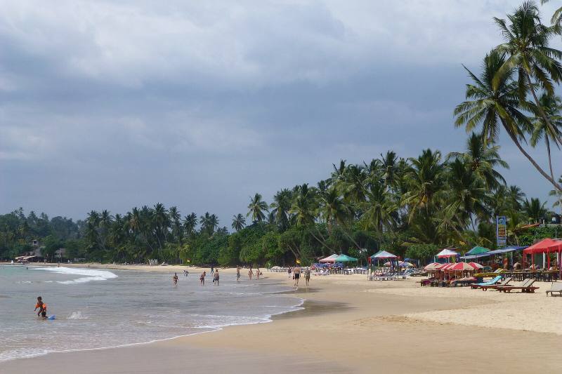 Palm-fringed curve of Mirissa beach with colourful umbrellas on the sand, Sri Lanka