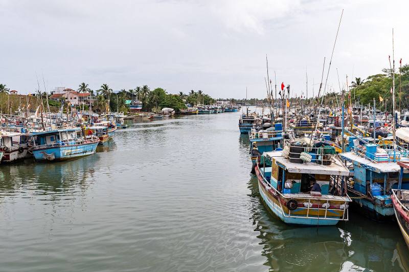 Colourful fishing boats moored along the lagoon, Negombo, Sri Lanka