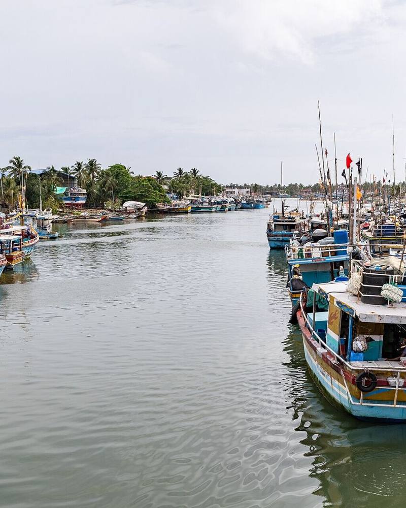 Colourful fishing boats moored along the lagoon, Negombo, Sri Lanka