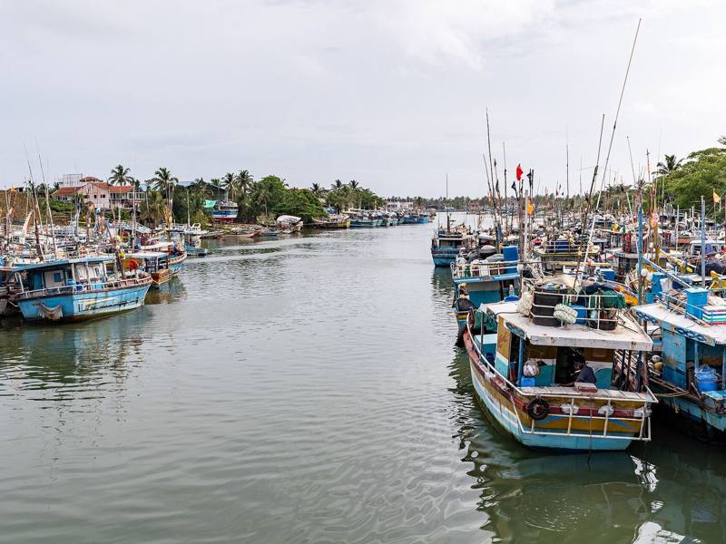 Colourful fishing boats moored along the lagoon, Negombo, Sri Lanka