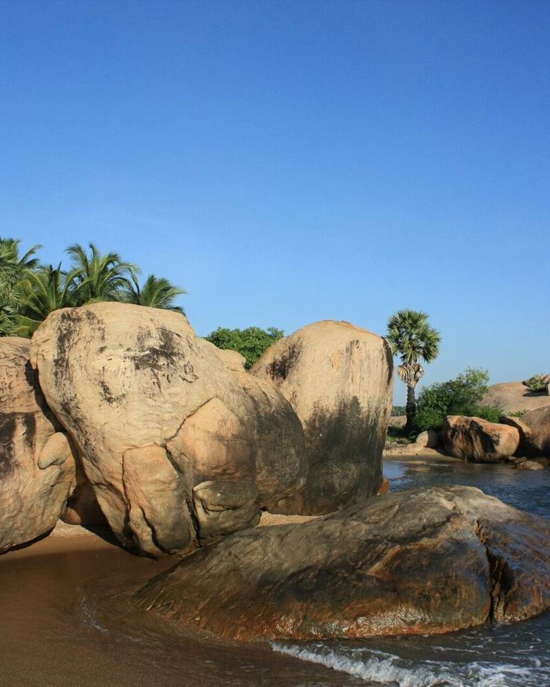 Large rounded boulders and palm trees beside calm blue water, Pasikuda, Sri Lanka