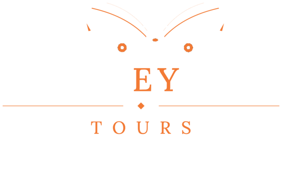 Air Ceylon Tours: Beyond Travel, We Create Memories