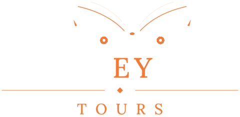 Air Ceylon Tours